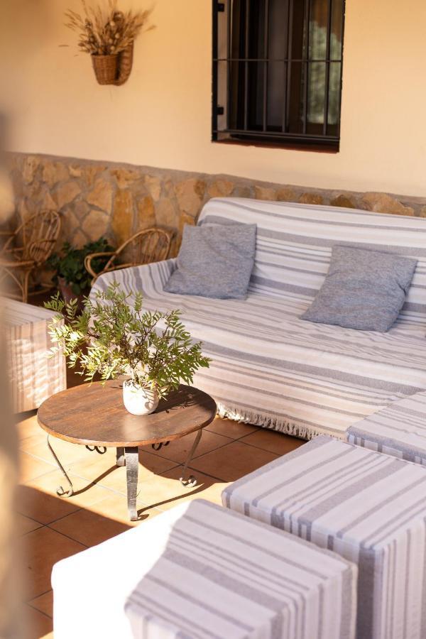Appartement El Niu Dels Paputs à Castellón de la Plana Extérieur photo